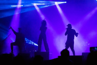 Konserdeki kalabalık ve sahne ışıklarındaki siluetler