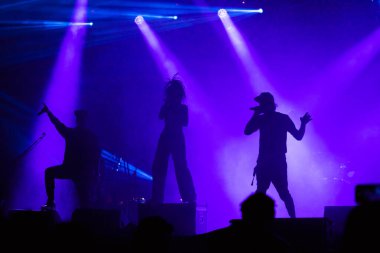 Konserdeki kalabalık ve sahne ışıklarındaki siluetler