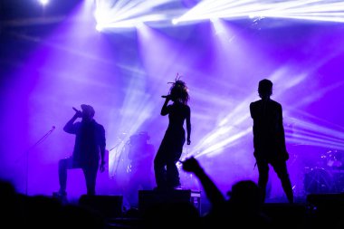 Konserdeki kalabalık ve sahne ışıklarındaki siluetler