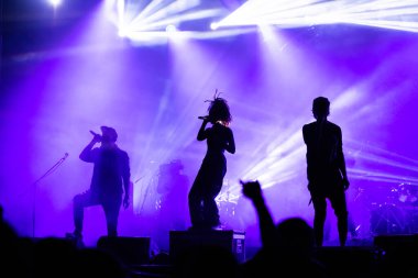 Konserdeki kalabalık ve sahne ışıklarındaki siluetler