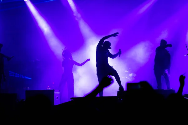 Menigte Bij Concert Silhouetten Podiumlicht — Stockfoto