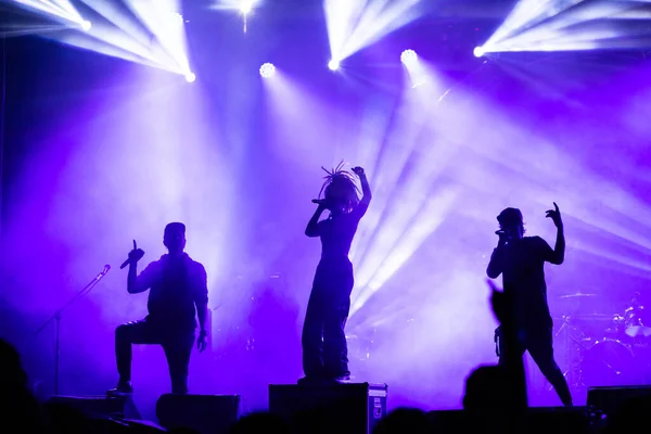 Menigte Bij Concert Silhouetten Podiumlicht — Stockfoto