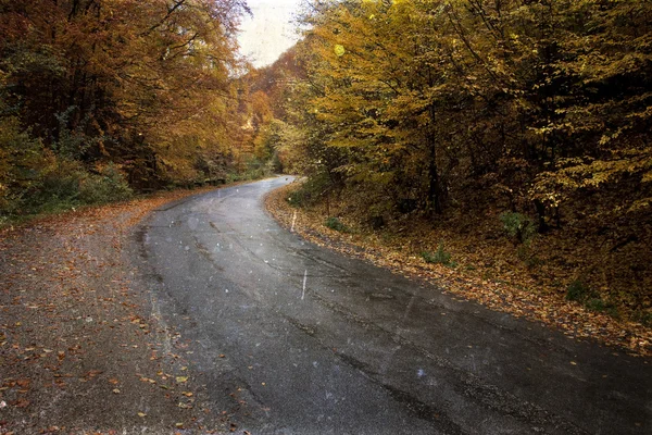 Kurvenreiche Straße im herbstlichen Wald - Jahrgangsfoto — Stockfoto