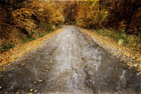 Estrada curva na floresta de outono - foto do vintage — Fotografia de Stock