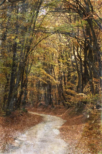 Curving road in autumn forest - vintage photo — Stock Photo, Image