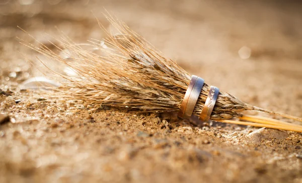 Anéis de casamento e trigo — Fotografia de Stock