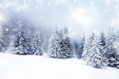 Karlı köknar ağaçları ile Noel arkaplanı 