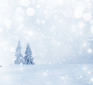 Karlı köknar ağaçları ile Noel arkaplanı 