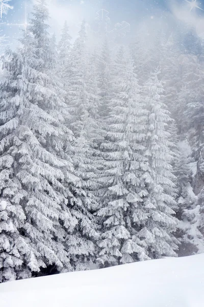 Weihnachten Hintergrund mit schneebedeckten Tannen — Stockfoto