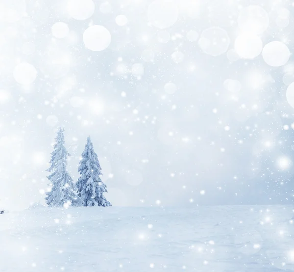 Weihnachten Hintergrund mit schneebedeckten Tannen — Stockfoto