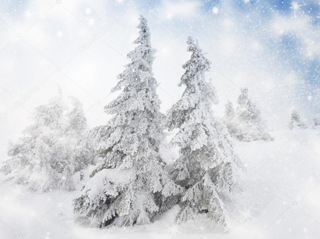 Christmas background with snowy fir trees 