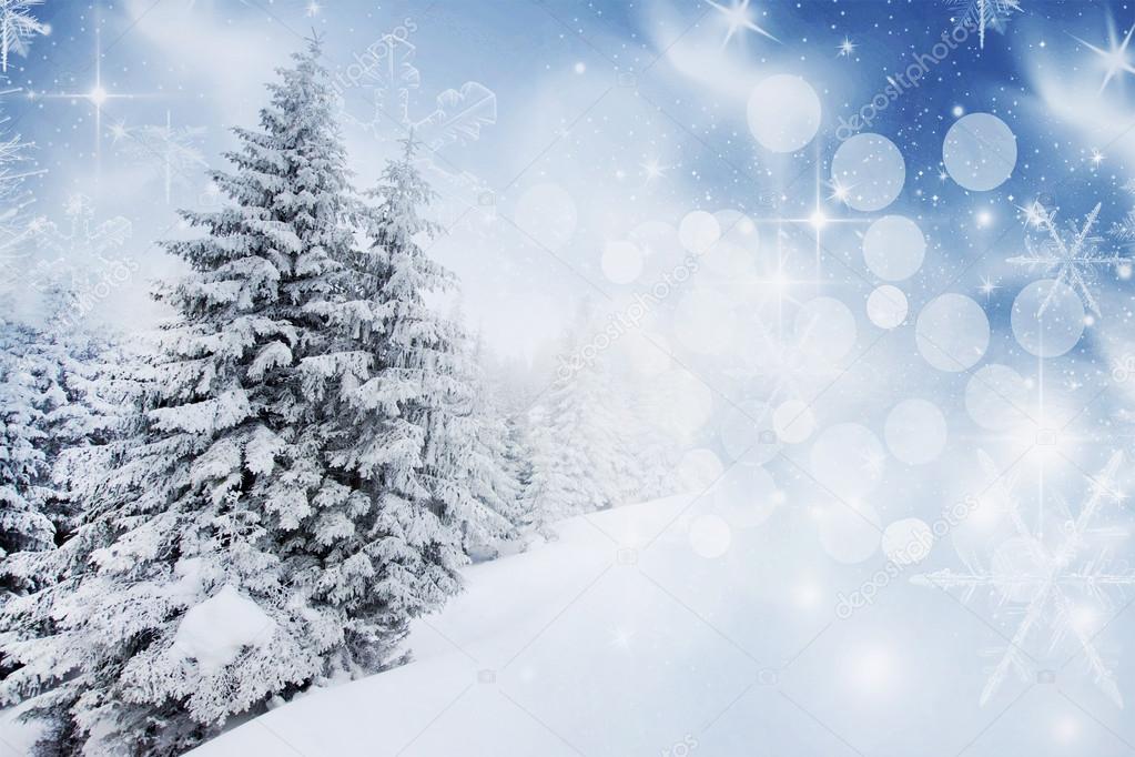 Christmas background with snowy fir trees 