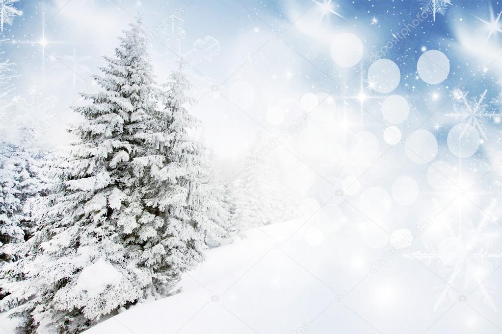 Christmas background with snowy fir trees 