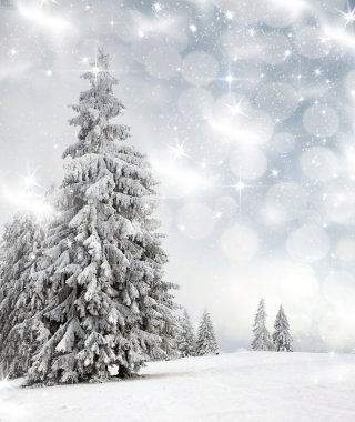 Karlı köknar ağaçları ile Noel arkaplanı 
