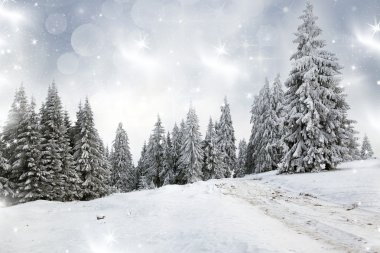 Karlı köknar ağaçları ile Noel arkaplanı 