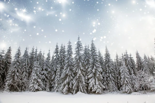 Fondo de Navidad con abetos nevados — Foto de Stock