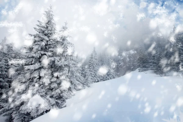 Fondo de Navidad con abetos nevados — Foto de Stock