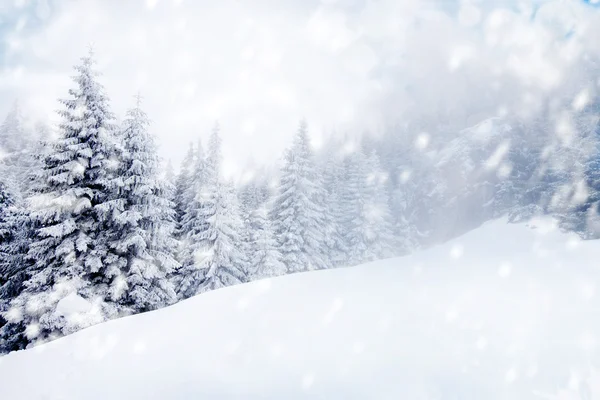 Fundo de Natal com abetos nevados — Fotografia de Stock