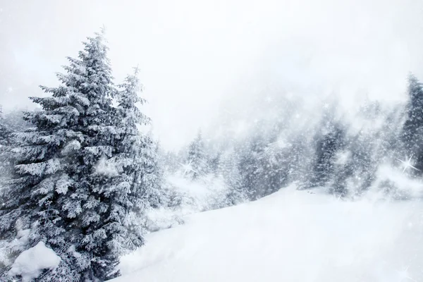 Karlı köknar ağaçları ile Noel arkaplanı — Stok fotoğraf