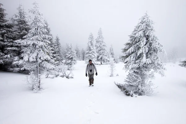 Fotograf in nebliger Winterlandschaft — Stockfoto