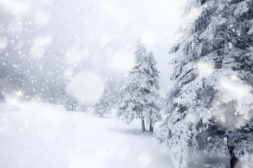 Christmas background with snowy fir trees 