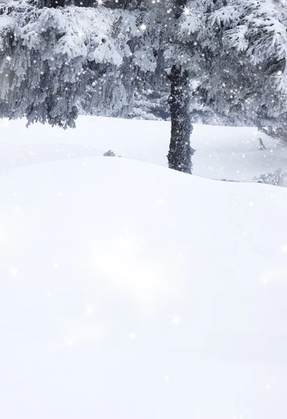Nieve fresca —  Fotos de Stock