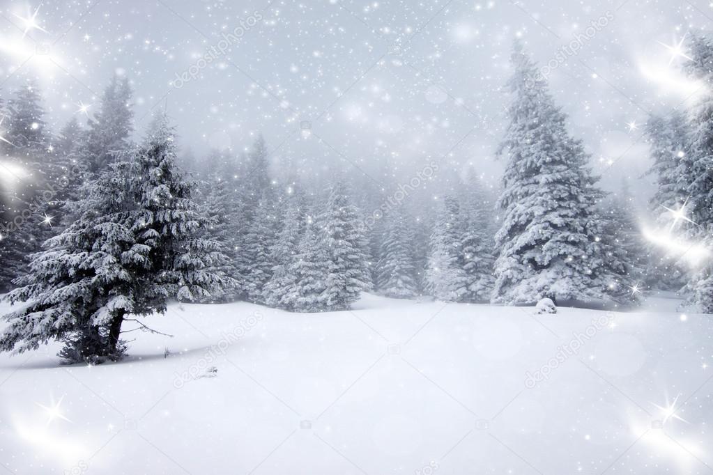 Christmas background with snowy fir trees 