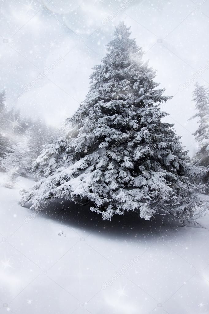 Christmas background with snowy fir trees 