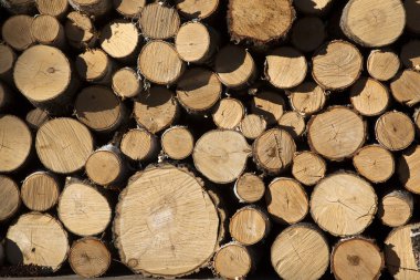 Pile of wood logs  clipart
