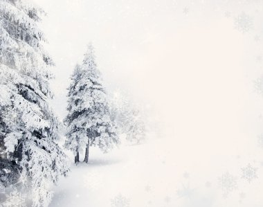 Karlı köknar ağaçları ile Noel arkaplanı 