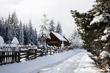 Güzel kış manzarası