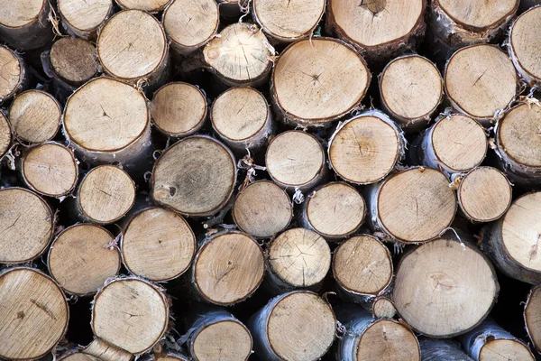 Pile of wood logs — Stock Photo, Image