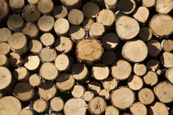 Cumulo di tronchi di legno — Foto Stock