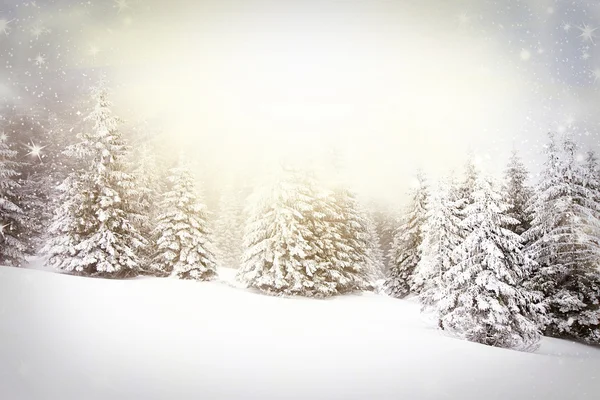 Fond de Noël avec sapins neigeux — Photo