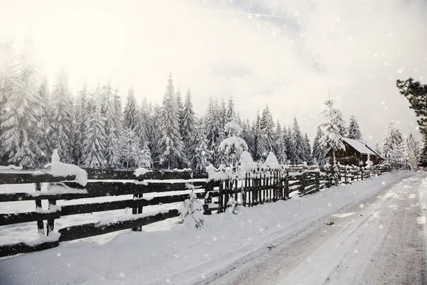 Beautiful winter landscape — Stock Photo, Image