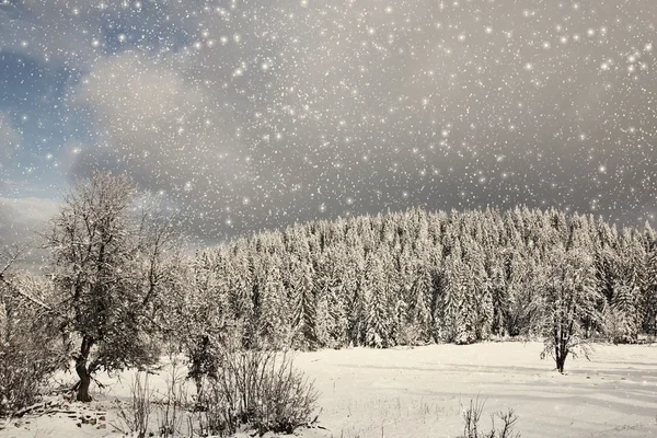 Bellissimo paesaggio invernale — Foto Stock