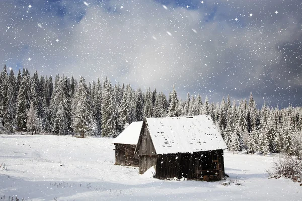 Beautiful winter landscape — Stock Photo, Image