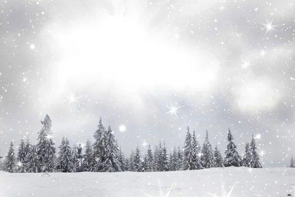 Fundo de Natal com abetos nevados — Fotografia de Stock