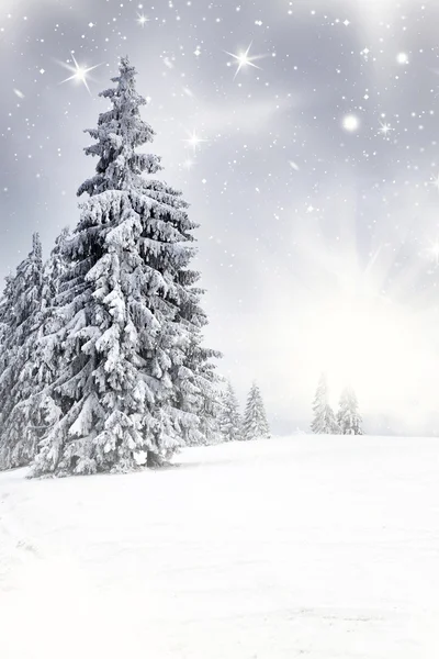 Kerst achtergrond met besneeuwde dennenbomen — Stockfoto