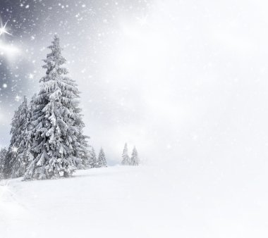 Karlı köknar ağaçları ile Noel arkaplanı 