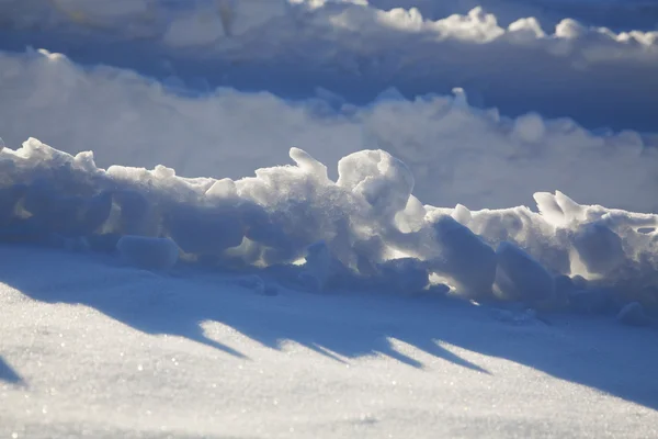 有白雪杉树的圣诞背景 — 图库照片