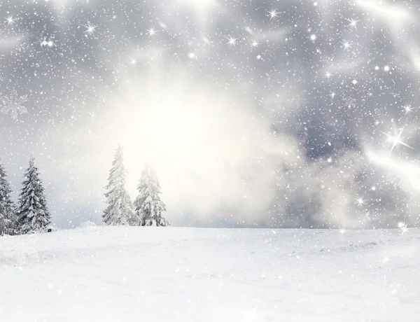 Fond de Noël avec sapins neigeux — Photo