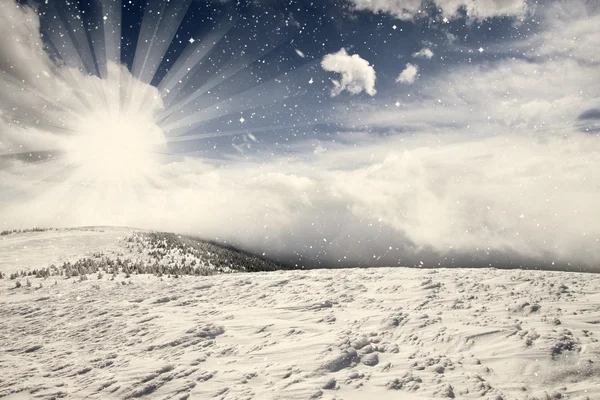 Jul bakgrund med snöiga gran träd — Stockfoto