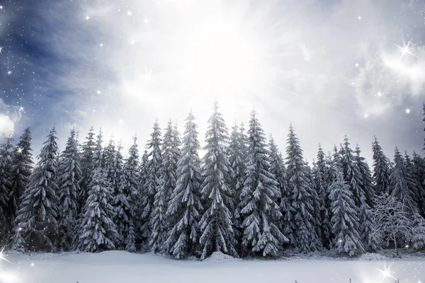 Weihnachten Hintergrund mit schneebedeckten Tannen — Stockfoto