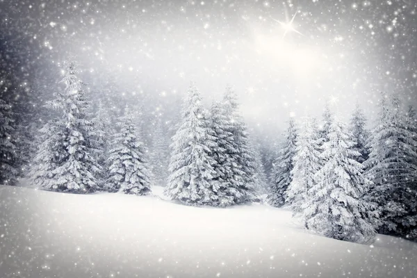 Weihnachten Hintergrund mit schneebedeckten Tannen — Stockfoto