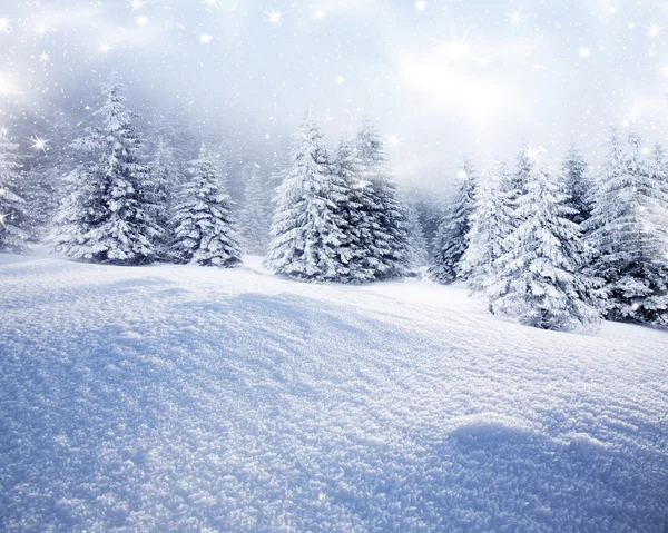 Kerst achtergrond met besneeuwde dennenbomen Rechtenvrije Stockafbeeldingen