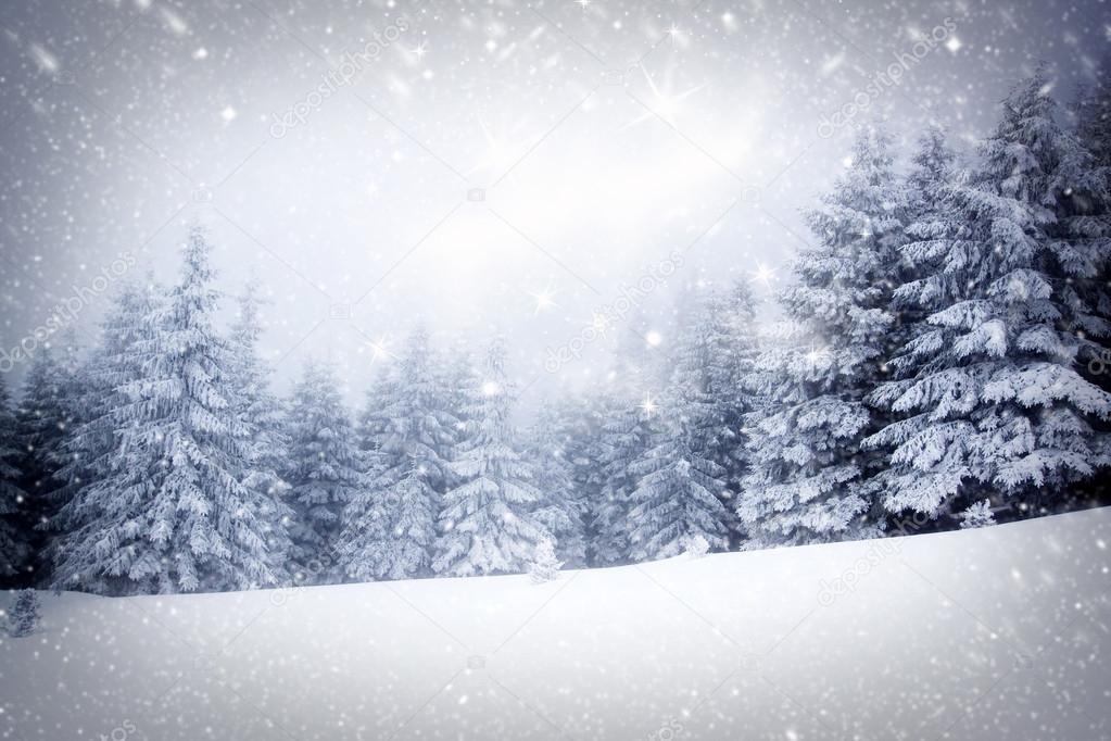 Christmas background with snowy fir trees 