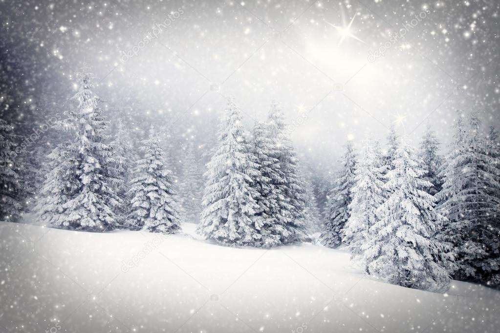 Christmas background with snowy fir trees 