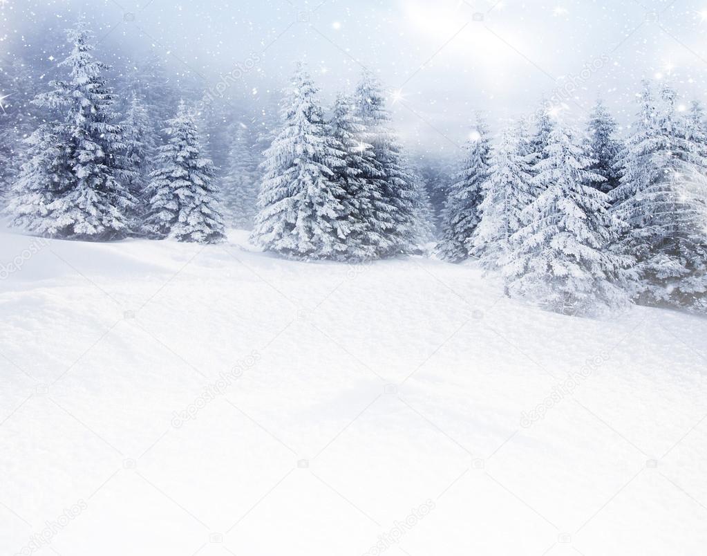 Christmas background with snowy fir trees 