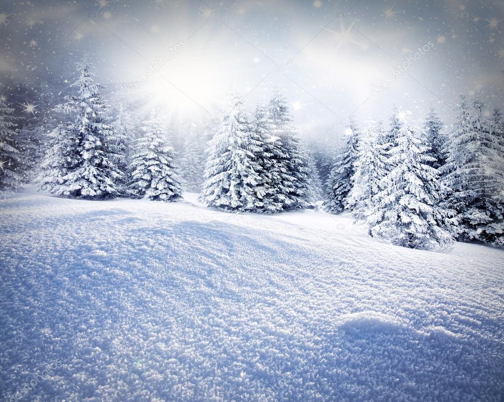 Christmas background with snowy fir trees 